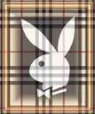 PlayBoy